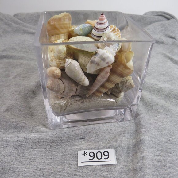 REAL Sea Shells in a Glass Square Vase and sand #10 Larger - Picture 5 of 13